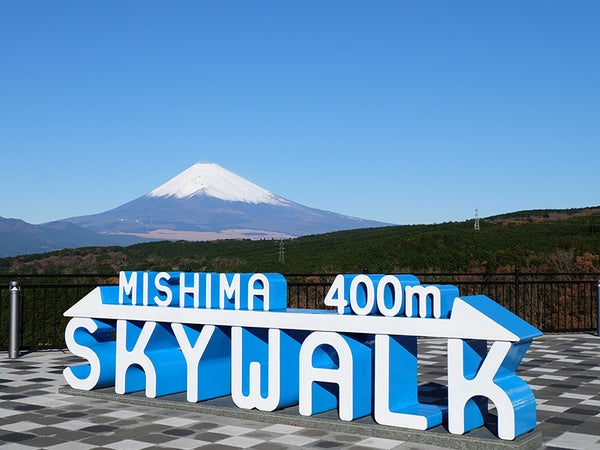 【新宿発】8,000円台~ぶっとび格安✨富士を望む絶景の空中散歩『三島スカイウォーク』といちご狩り食べ放題&伊豆御膳!沼津でお買い物 日帰り旅1